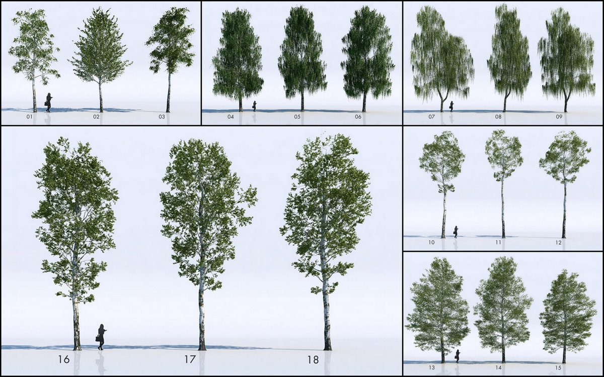 18 Adet Ücretsiz 3D Ağaç Modeli